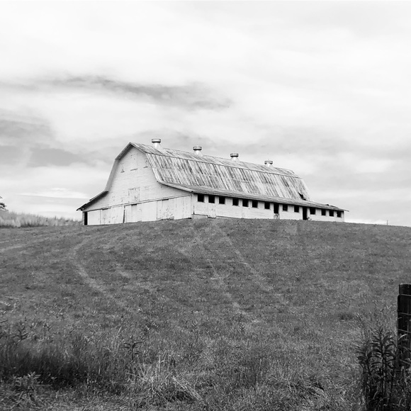 Meet your Posher, Russell - Picture 1 of 1